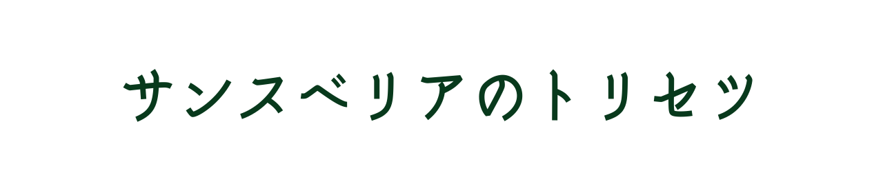 サンスベリアのトリセツ