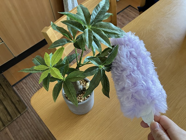 観葉植物のほこり掃除